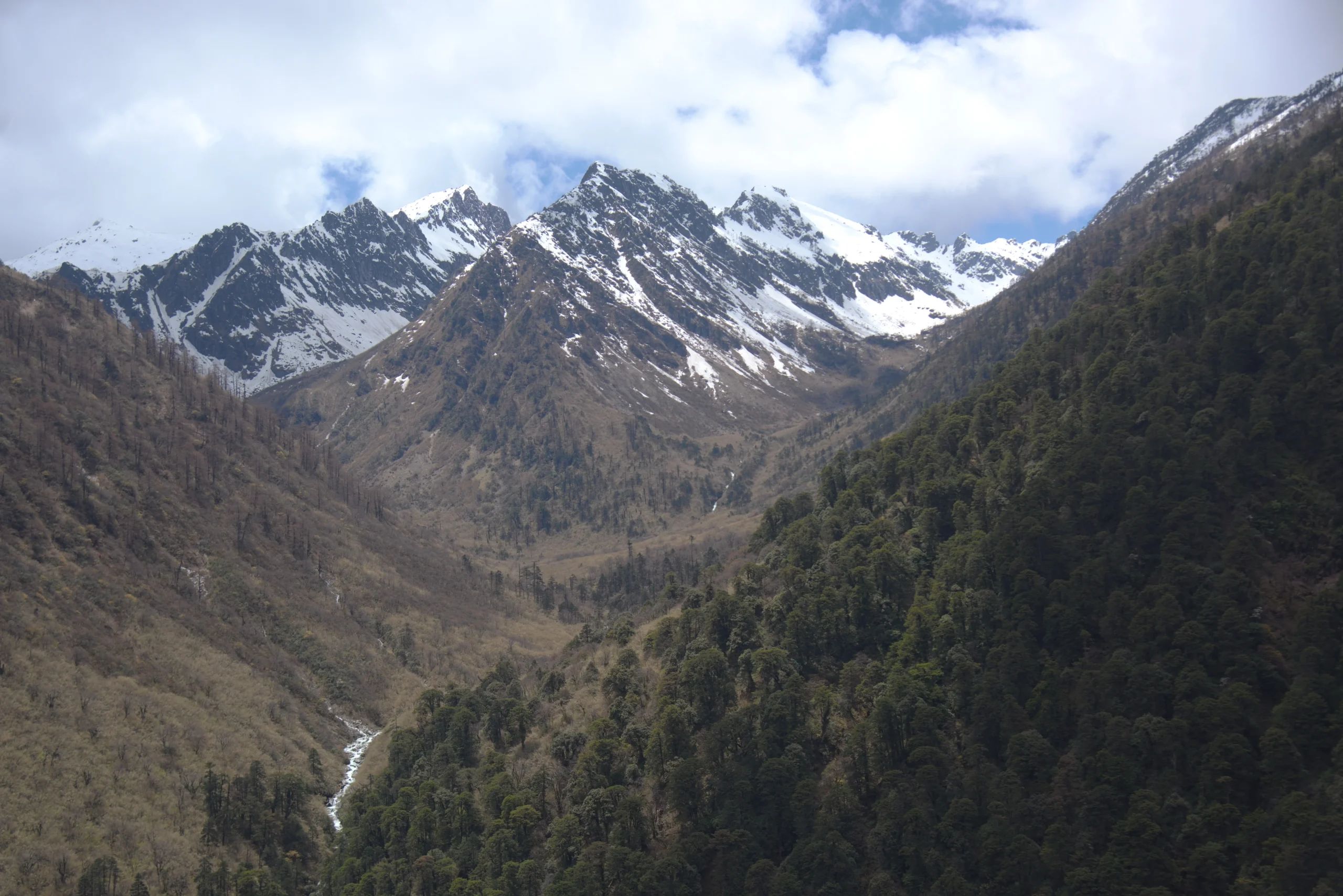 Gaoligong Mountains, Yunnan